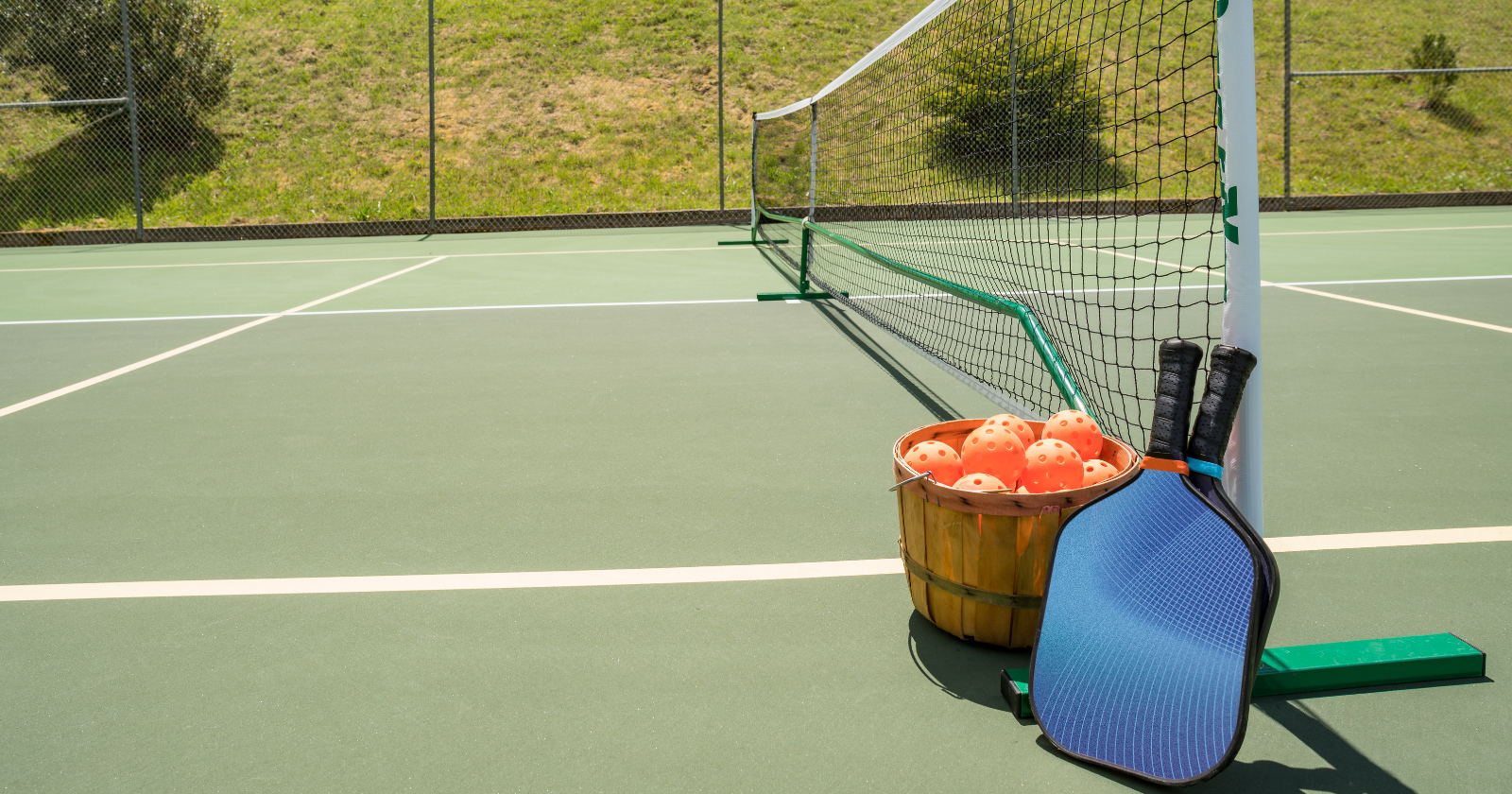 Best Pickleball Paddles feature